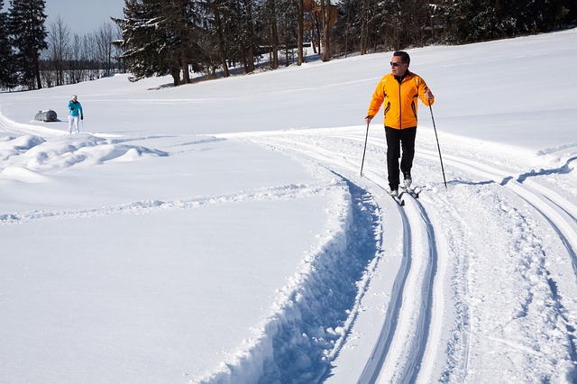 comparatif baton de ski