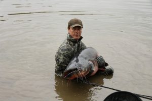 avis canne a peche pour poisson chat