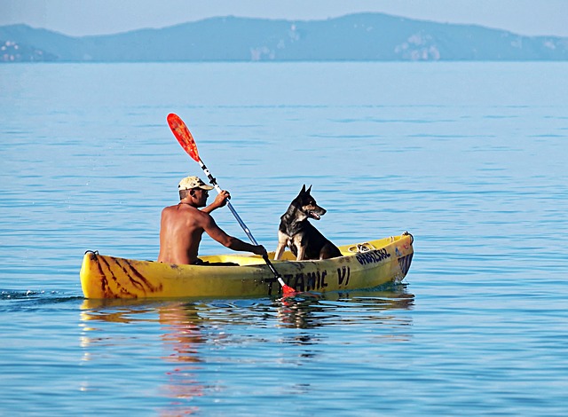 comparatif kayak pour chien