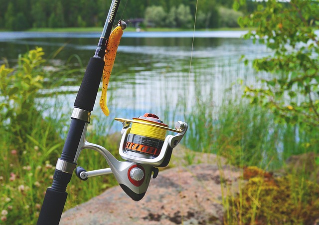 meilleur ligne de peche pour moulinet de peche