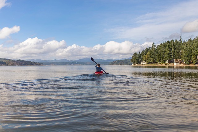 meilleur pagaie de kayak