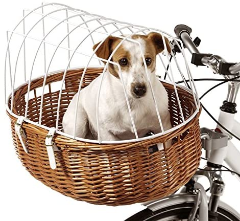 panier de vélo pour chien